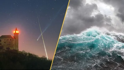 Science news this week: Atlantic current edges closer to collapse, scientists make artificial-neuron breakthrough, and a copy of the "Iliad" is found inside an Egyptian mummy