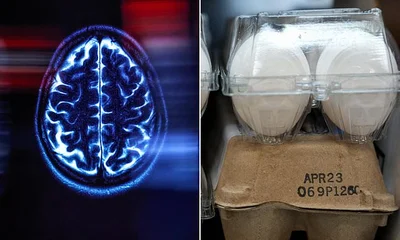 Scientists say eating eggs just twice a week cuts Alzheimer's risks by a fifth