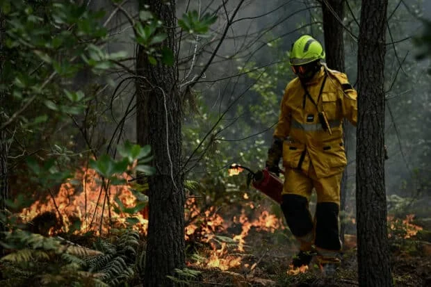 France firefighters hopeful, as Spain ends national emergency