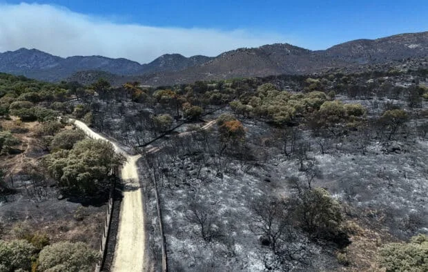 France and Spain race to contain fires before new heatwave
