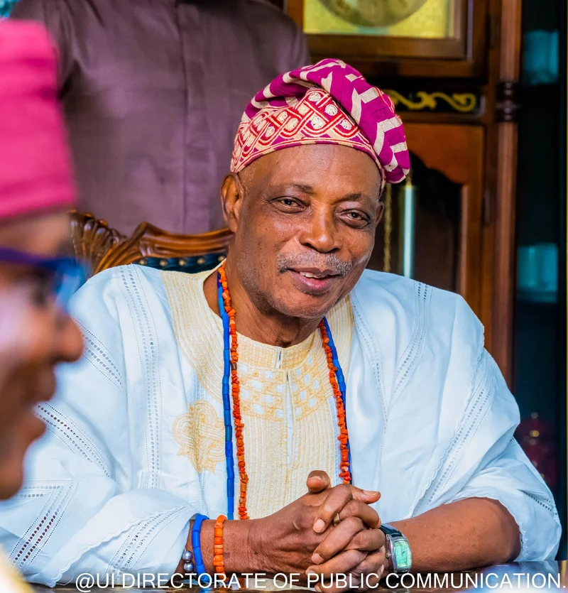 Why we visited Tinubu – Olubadan