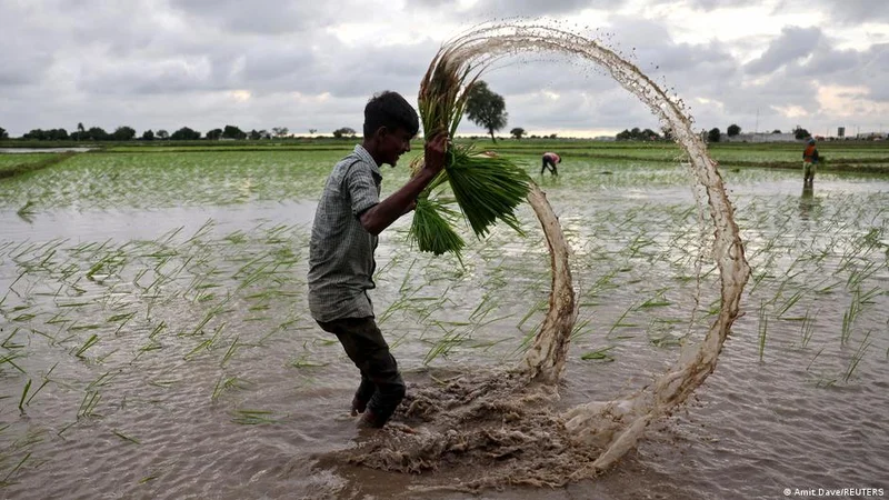 How Iran, Ukraine wars and El Nino could fuel world hunger