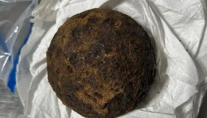 TSA Officers Found Five Cannonballs Stolen From a Civil War Fort in a Checked Suitcase at an Alabama Airport