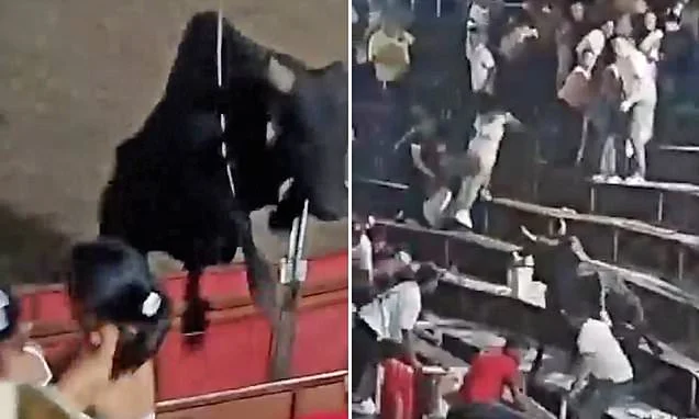 Terrifying moment bull leaps into the crowd at Colombian festival injuring four as spectators run for their lives