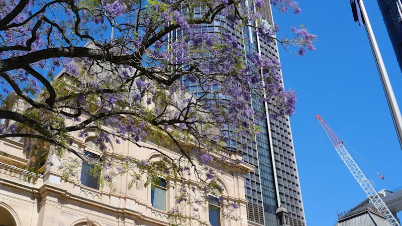 Queensland parliament updates: Education, arts, women and child safety up at budget estimates