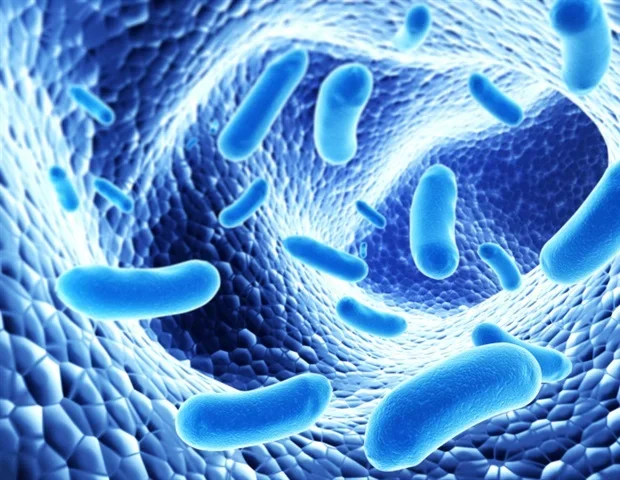 Scientists discover why mouse liver cells resist hepatitis E virus