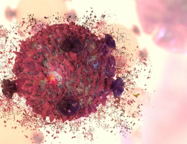 Targeting acid ceramidase could improve healthy aging and longevity