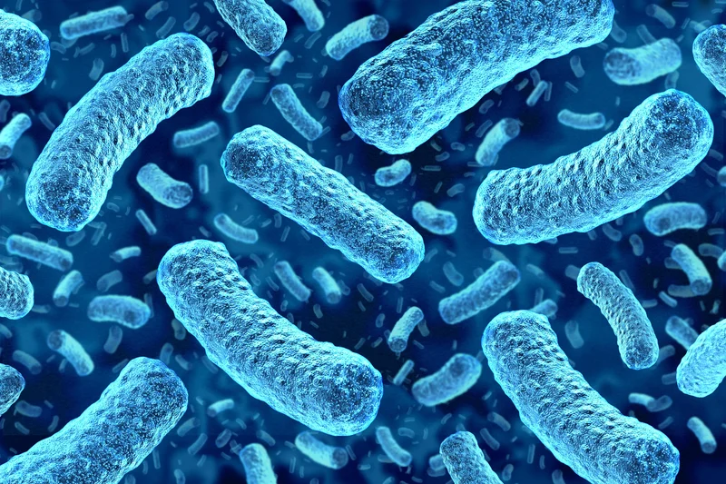 Cyclospora Boosts Fears That Deadlier Foodborne Outbreaks Are Ahead