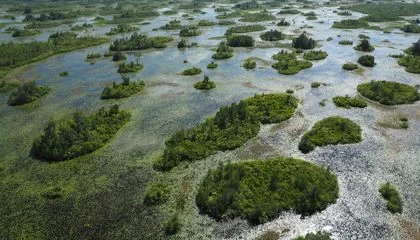 This Alligator-Infested Swamp in the American South Just Joined the UNESCO World Heritage List, Along With the Home of the Greek Gods