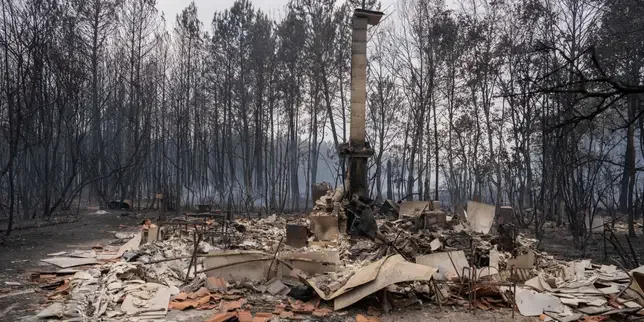 Residents who lost their homes go back to piles of rubble and ash on Le Porge's 'Desolation Avenue'