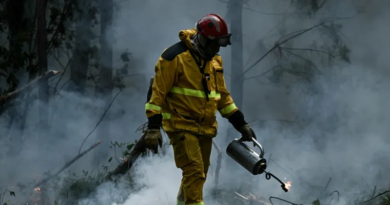 Battle against monster wildfire in France boosted by improving weather