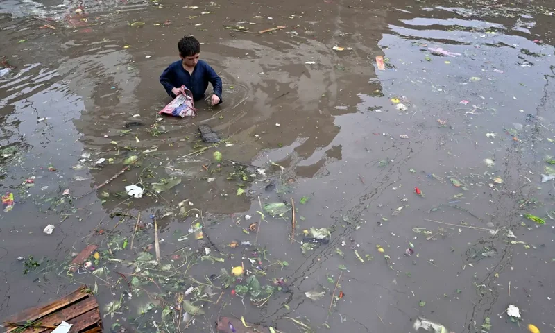 President directs authorities to step up monsoon preparedness as rain-related deaths in Punjab, KP reach 43