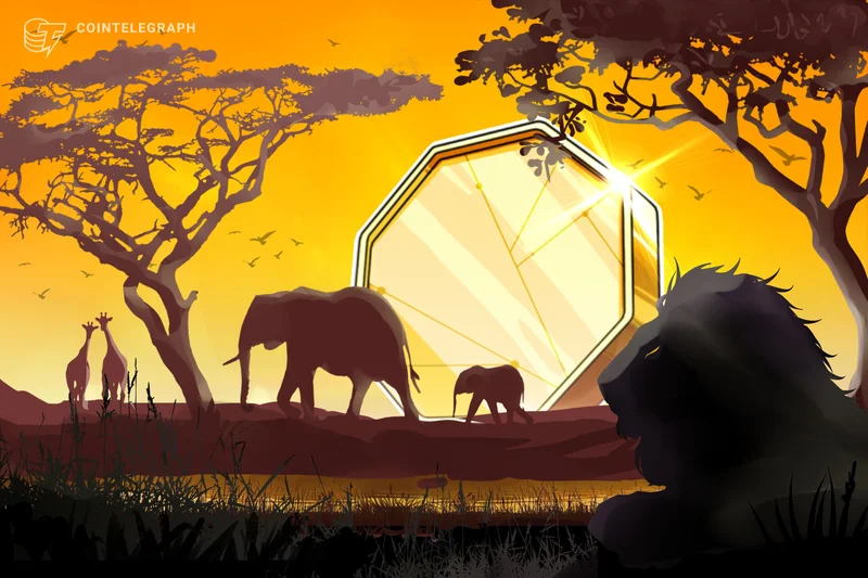 Zimbabwe admits seven fintech projects to regulatory sandbox