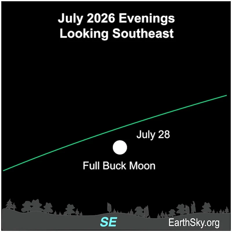 The July full moon is the beautiful Buck Moon
