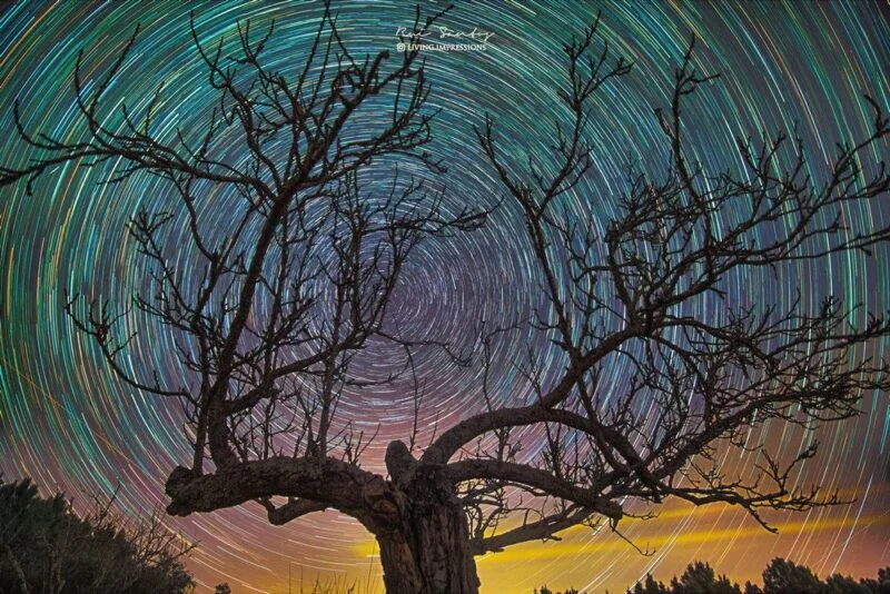 What are star trails, and how do I photograph them?