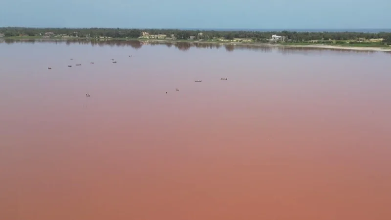 Crucial salt trade revives as Pink Lake slowly recovers from floods