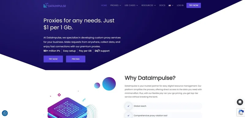 DataImpulse Proxy Service Review