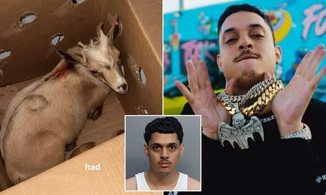 Miami rapper accused of 'witchcraft' after cops find horrifying animal sacrifice chamber inside his home...with a baby goat marked for death