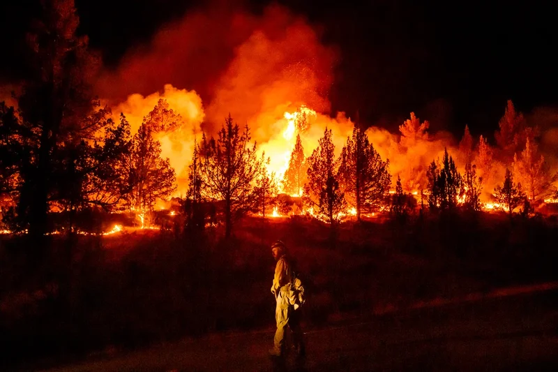 Wildfires are more extreme in Europe and North America, but global burning is oddly decreasing