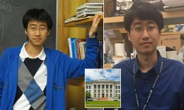 Harvard Medical School professor beat pregnant woman and made her sit in kitchen with gas leaking from stove burner while windows were shut, police say