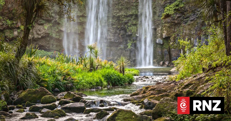 Is te reo Māori globally hot but locally not?