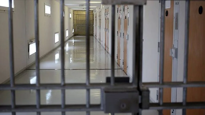 Jailed sex offender admits exposing himself to young girl