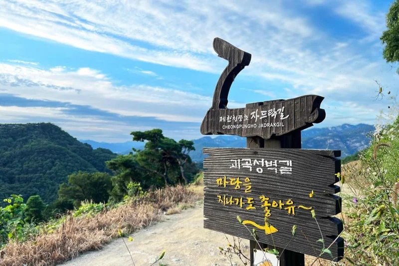 Korea's signature forest trail in Jecheon wins over hikers, tourists