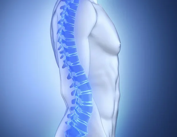 Blocking the Axl receptor may offer a new way to promote bone formation