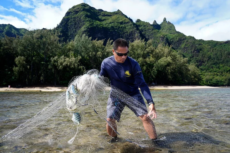 Community Control Of Kauaʻi Fishery In Hawaii Is Showing ‘Remarkable’ Results