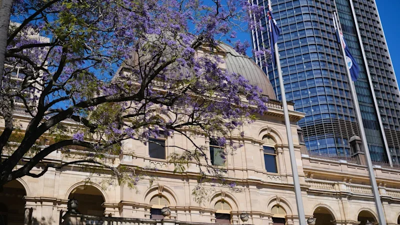 Queensland parliament updates: Courts, cops and corrections in focus