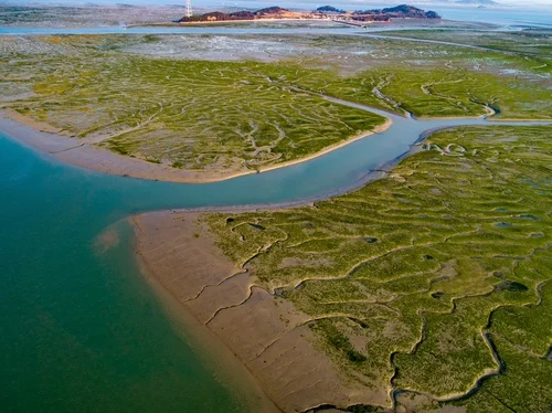 (LEAD) More S. Korean tidal flats gain UNESCO World Heritage status