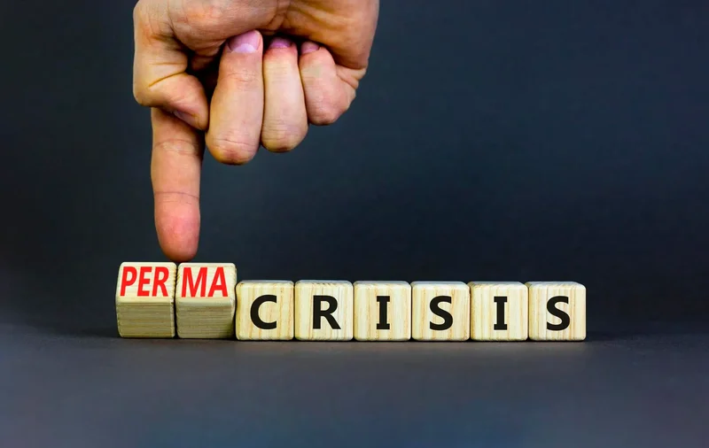 From Polycrisis To Permacrisis: Reset, Recover & Perform At Your Best