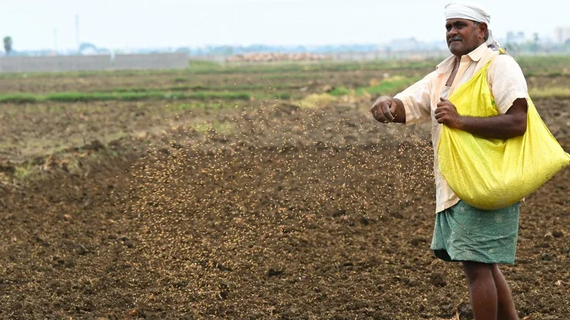 Dry spell to continue for most parts of A.P. until July 30;  overall deficit reaches 53.3%
