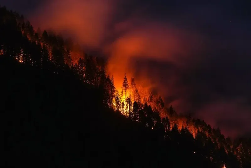 B.C. firefighters face critical days as dry fuels and winds increase fire risks