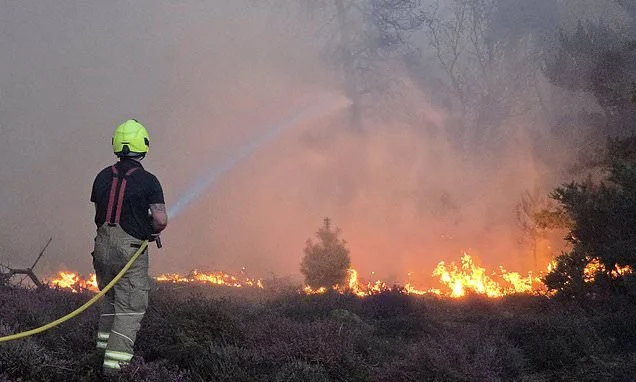 Why the flames of Britain's wildfires have been fanned by the Green agenda as much as the weather: MATT RIDLEY