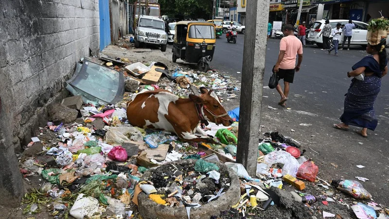 Bengaluru: GBA plans mandating GPS for debris transport vehicles to tackle illegal dumping