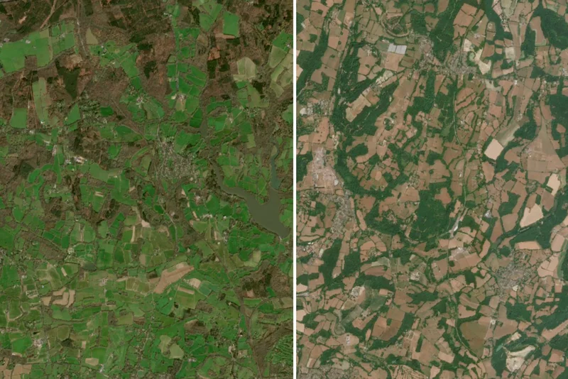Satellite pictures reveal huge impact of ‘exceptional’ UK drought and heatwaves