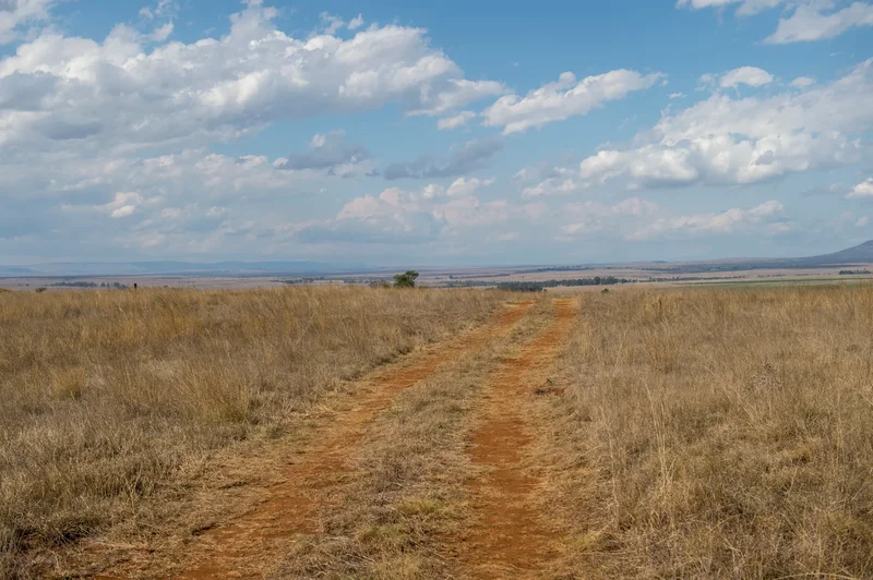 Measure land reform the right way