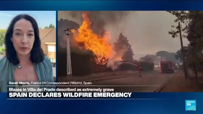 Spain declares wildfire emergency, 10,000 evacuated near Madrid