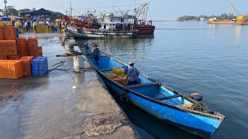 Fish and marine products of Dakshina Kannada identified for One District One Product initiative under PMFME