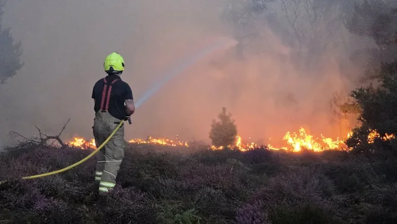 Firefighters in eastern England make 'progress' battling 'dynamic' wildfire