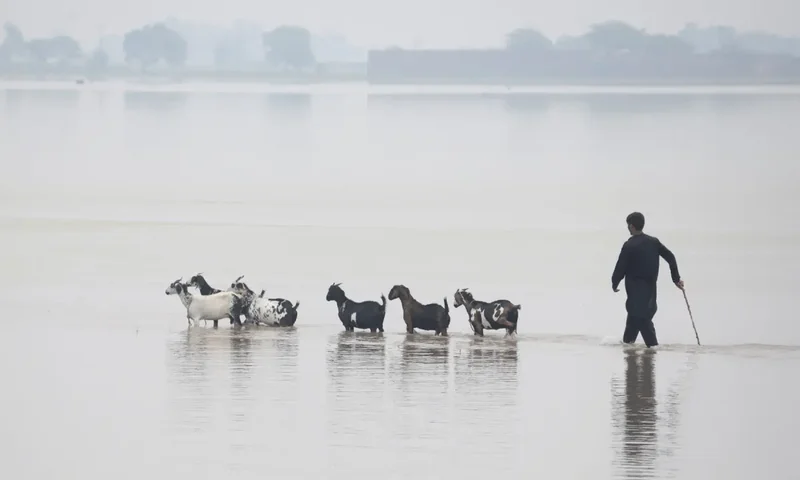 22 areas in Punjab's Multan district partially submerged under floodwaters