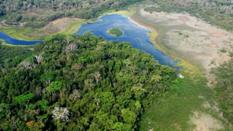 How Guatemala's logging system is helping save rainforests