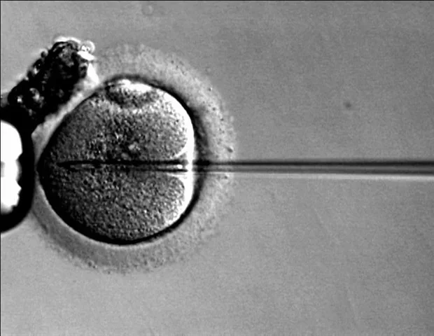 New strategy combines cancer immunotherapy and gene therapy in a single nanoparticle