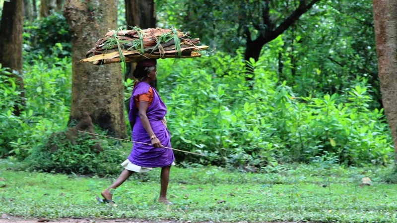 Why tribal communities in Kerala are at the receiving end of digital disconnect