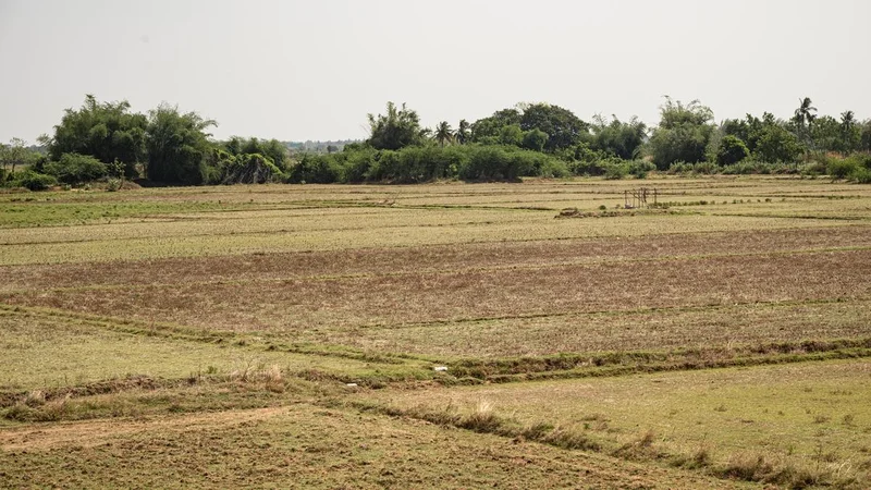 DMK to stage protest in Thanjavur on August 3 over Cauvery, farmers’ issues