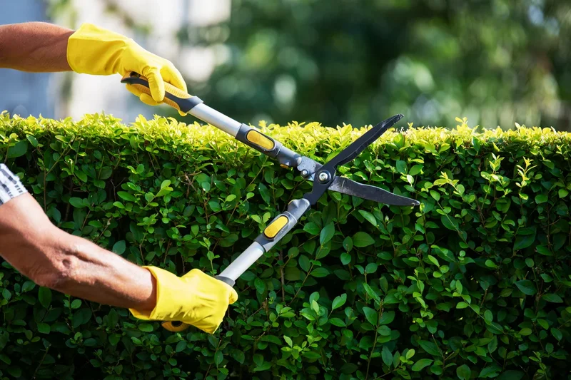 Seven climate-friendly ways to upgrade your home