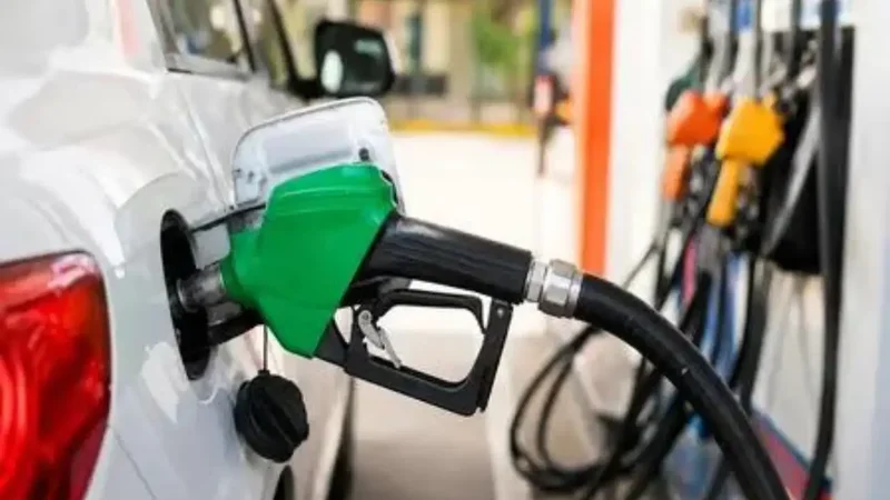 Can using E20 petrol lead to insurance claim rejection? What the govt said