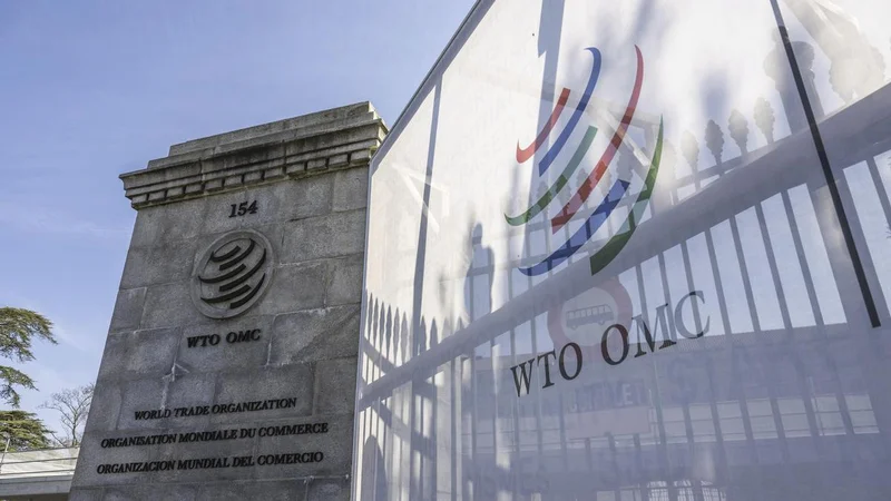 Brazil requests WTO consultations over U.S. tariffs