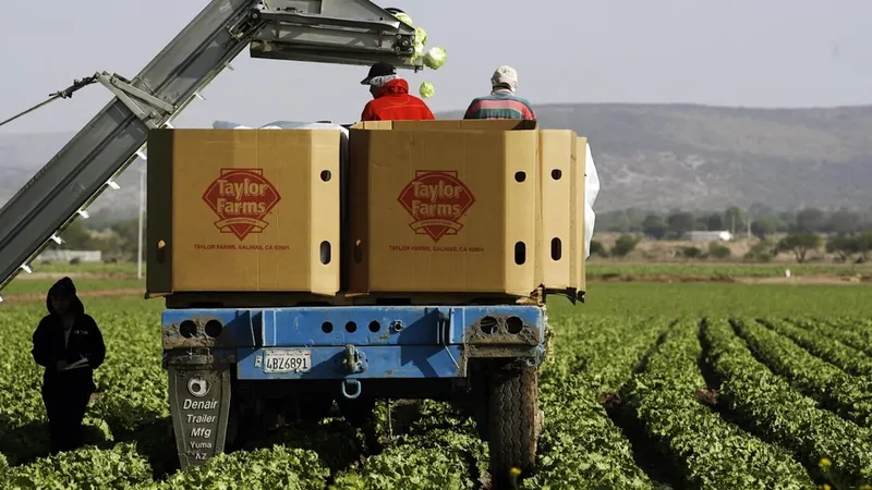 Taylor Farms Founder Speaks Out For First Time Amid The FDA's Investigation Into That “Explosive Diarrhea” Parasite Outbreak